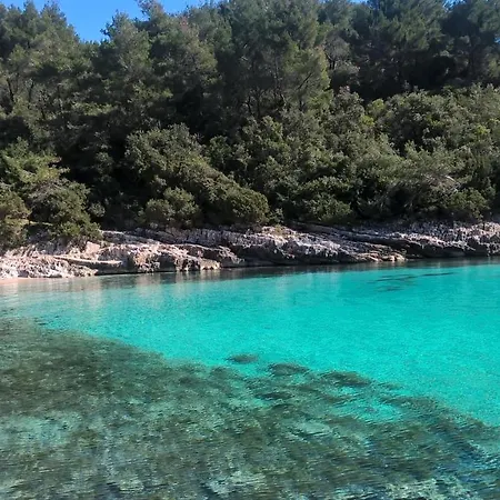 Planika 2 زافالاتيكا