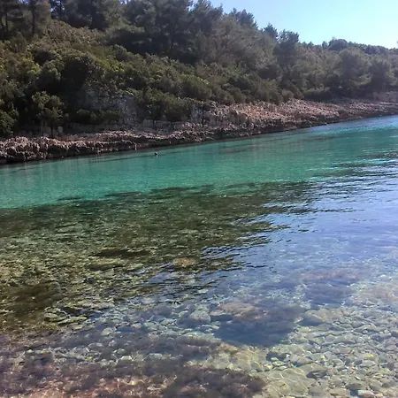 Planika 2 * Zavalatica