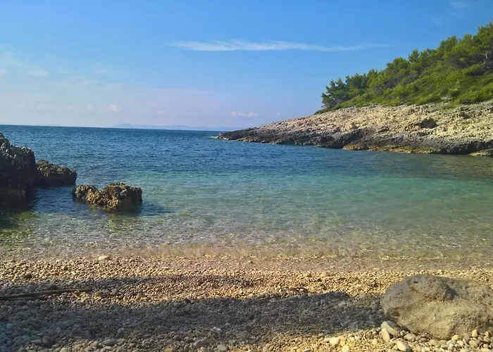 Planika 2 * Zavalatica