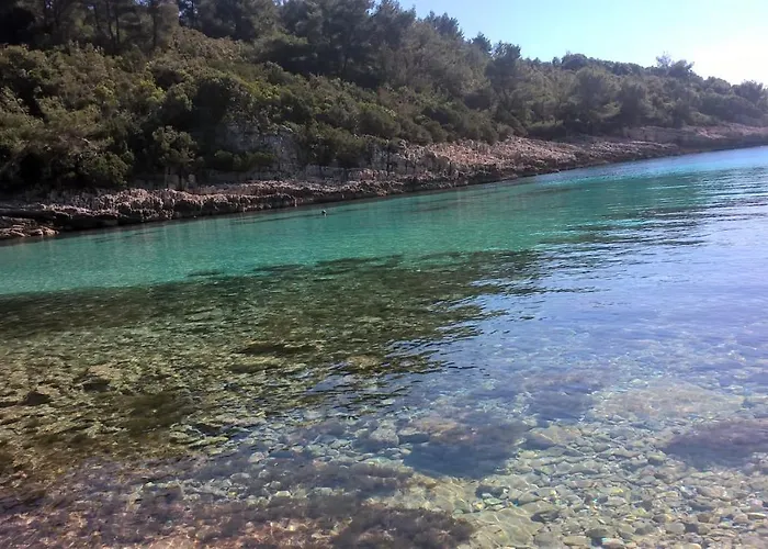 Planika 2 * Zavalatica